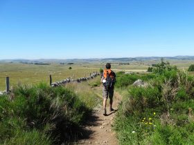 chemin-de-saint-jacques-de-compostelle