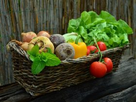 Légumes à la ferme